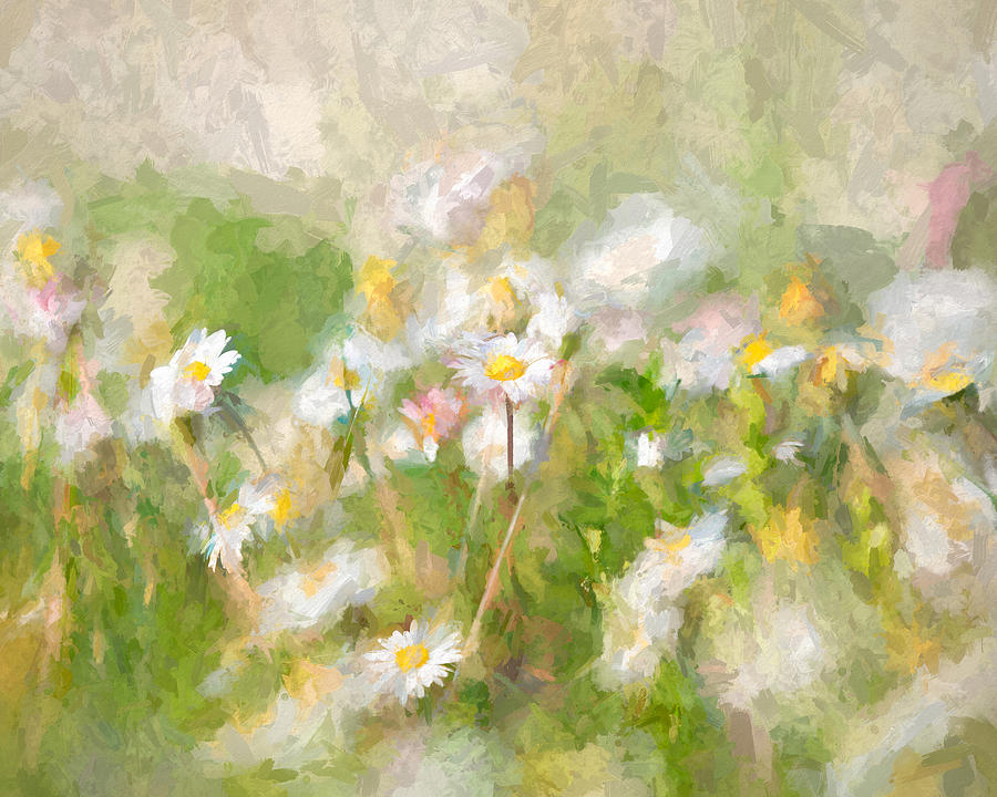 Painted Daisies Photograph by Rod Best