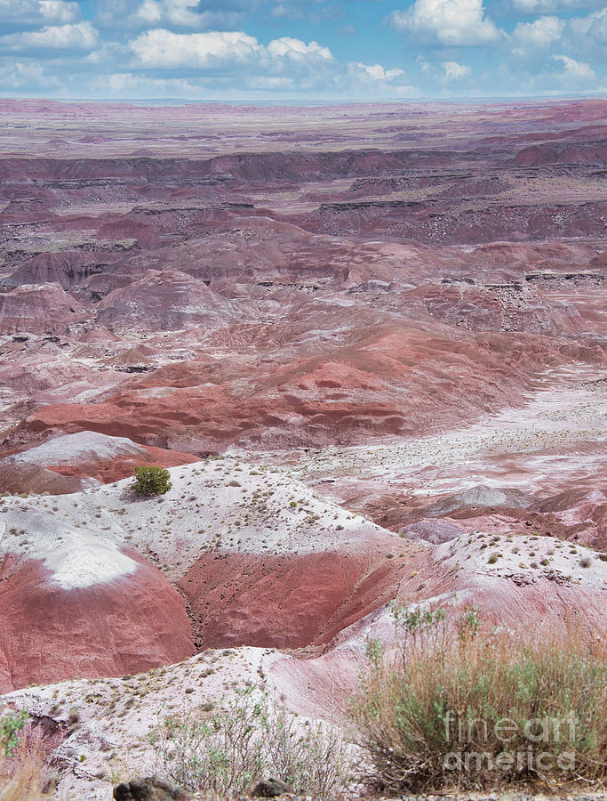 Painted Desert 3 Photograph by Andrea Anderegg