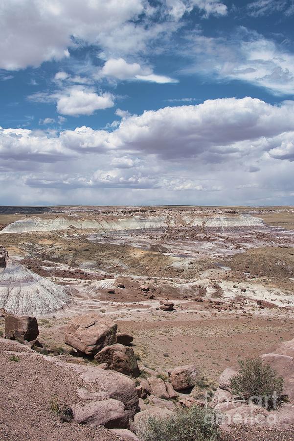 Painted Desert Photograph by Andrea Anderegg