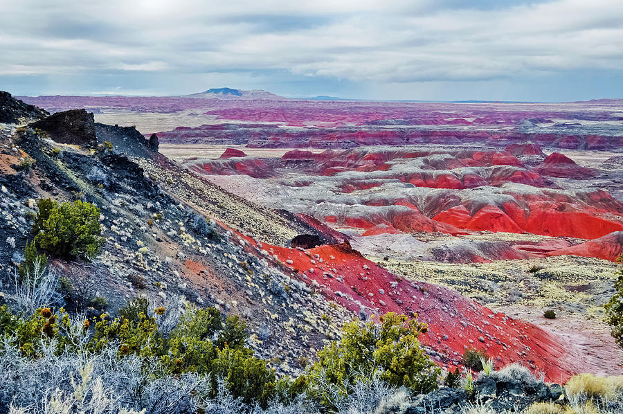 Painted Desert Badlands Photograph by Kyle Hanson