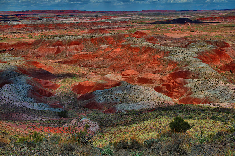 Painted Desert Colors Photograph by Stephen Vecchiotti