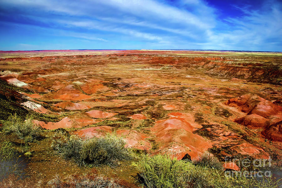 Painted Desert Early Spring Photograph by Jon Burch Photography