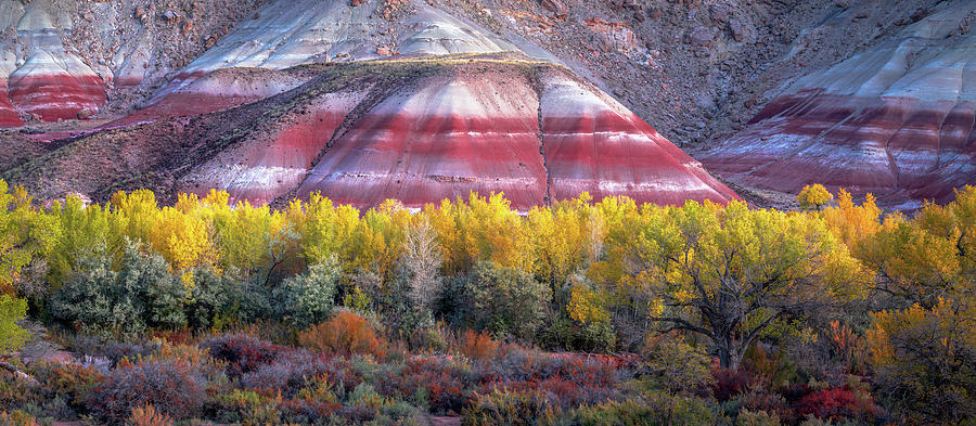Painted Desert Fall Photograph by Dustin LeFevre
