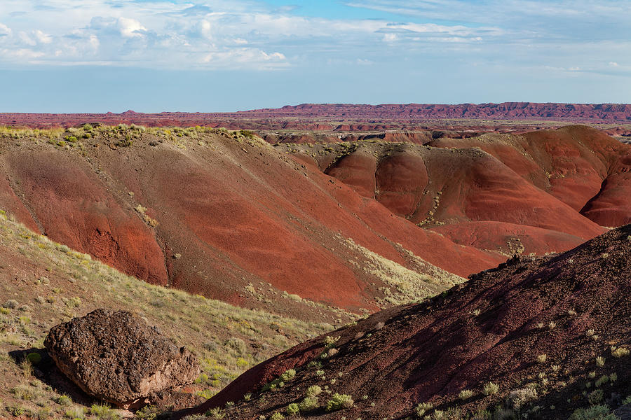 Painted Desert Overlook Photograph by James Marvin Phelps