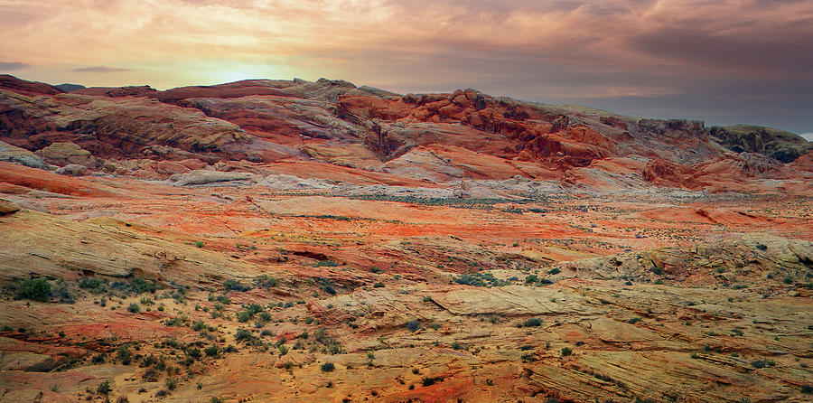 Painted Desert Panorama Photograph by Frank Wilson