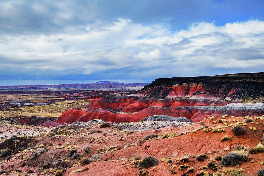 Painted Desert Petrified Forest Photograph by Kyle Hanson