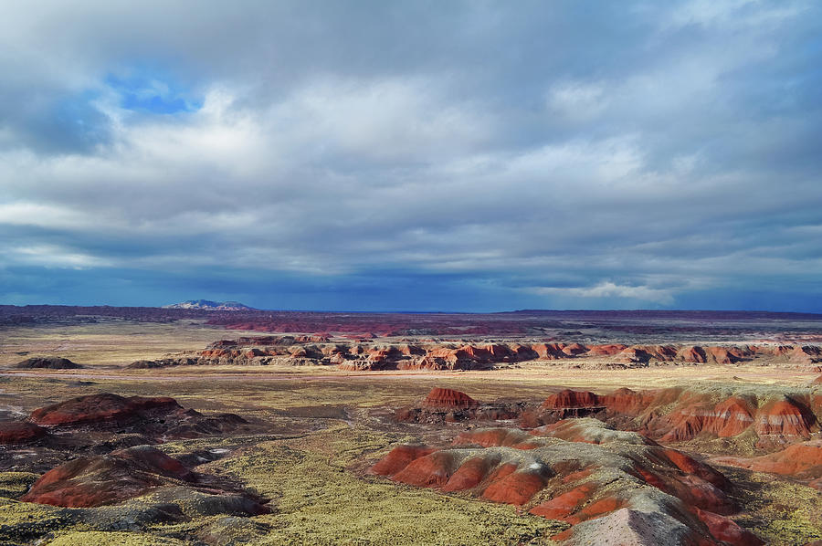 Painted Desert Prairie  Photograph by Kyle Hanson
