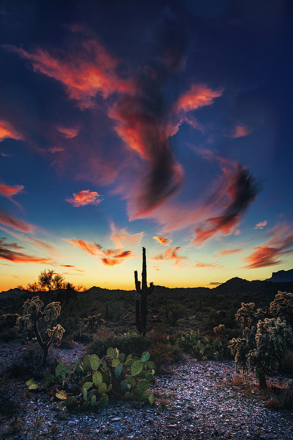 Painted Desert Skies Of The Sonoran Photograph by Saija Lehtonen