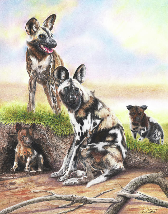 Painted Dogs Drawing by Peter Williams