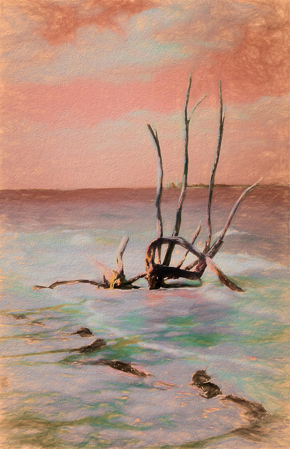 Painted Driftwood Mixed Media by Rosalie Scanlon