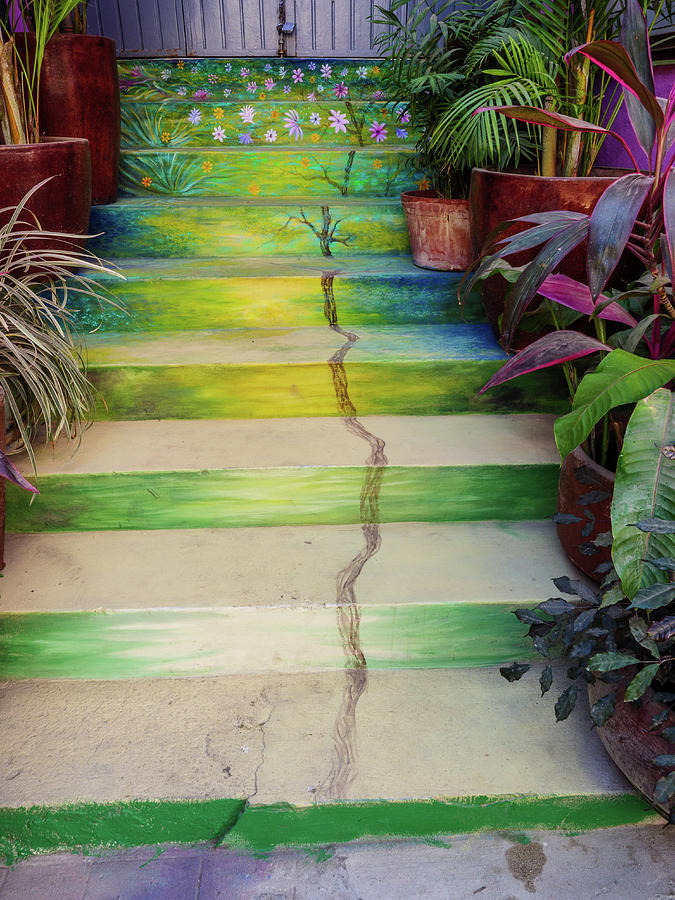 Painted Entrance Stairs Photograph by Rob Huntley