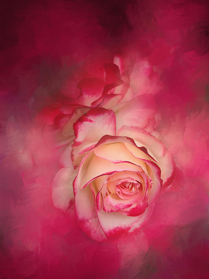 Painted Flamenco Rose Photograph by Theresa Tahara