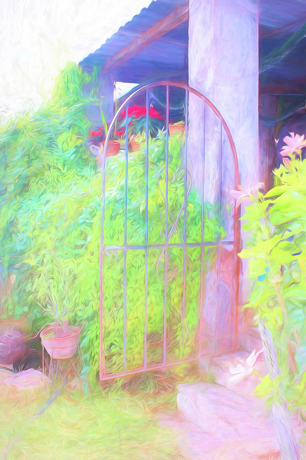 Painted Gate SMD Digital Art by Cathy Anderson