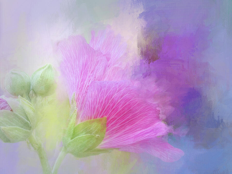 Summer Digital Art - Painted Hibiscus by Terry Davis