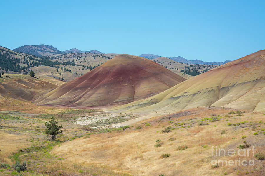 Painted Hill, Oregon Photograph by Michael Ver Sprill