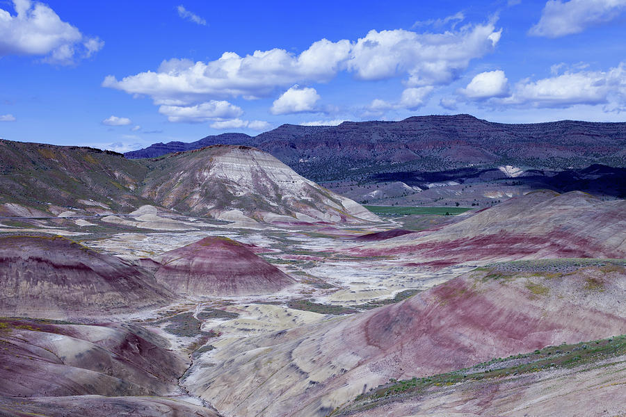 Painted Hills 3 Photograph by Rick Pisio