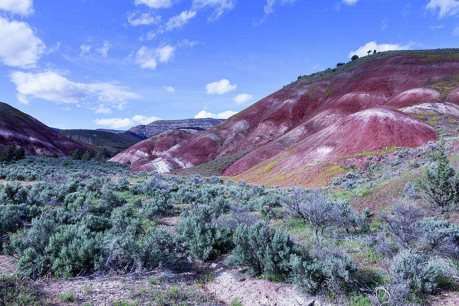 Painted Hills 8 Photograph by Rick Pisio