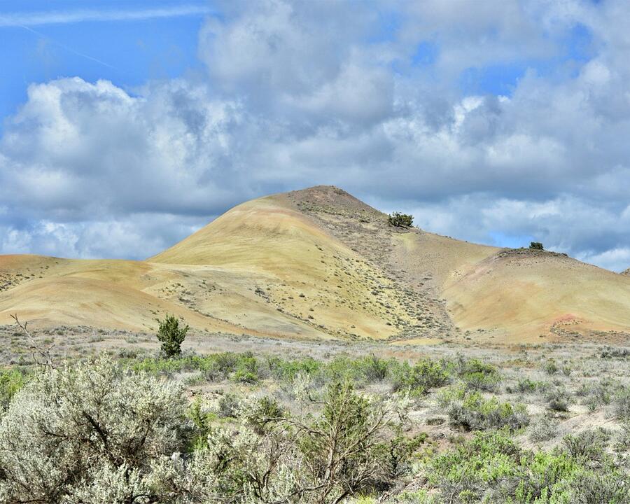 Painted Hills No1 Photograph by Bonnie Bruno