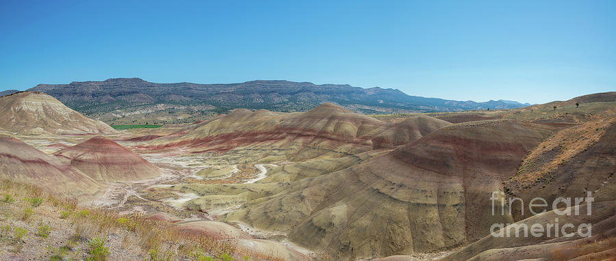 Painted Hills Overlook  Photograph by Michael Ver Sprill