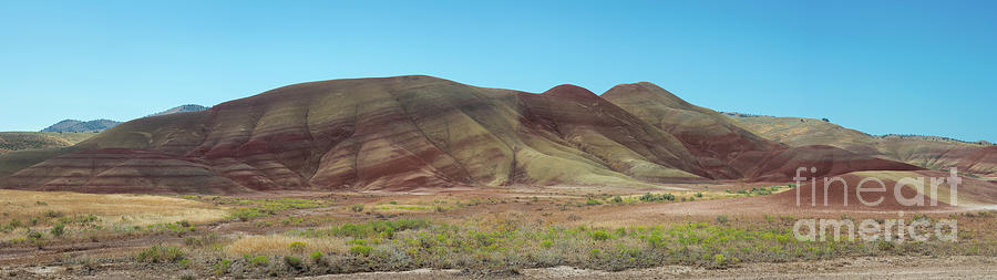 Painted Hills Panorama  Photograph by Michael Ver Sprill