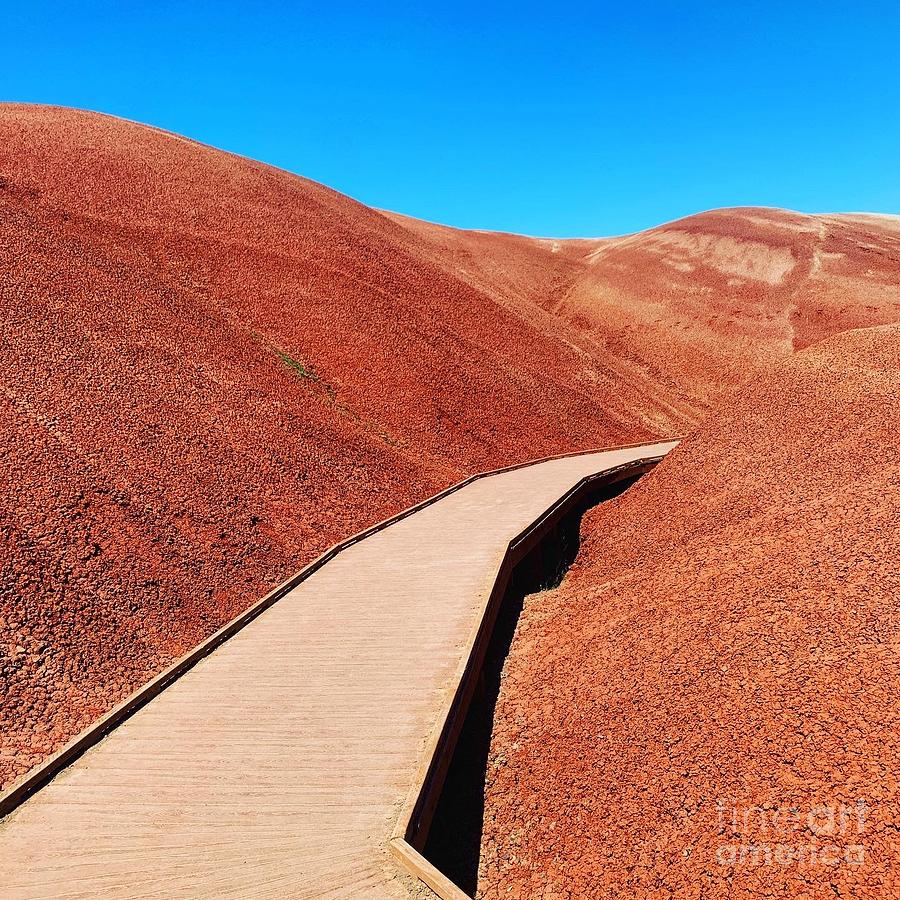 Oregon Photograph - Painted Hills State Park  by Dorota Nowak