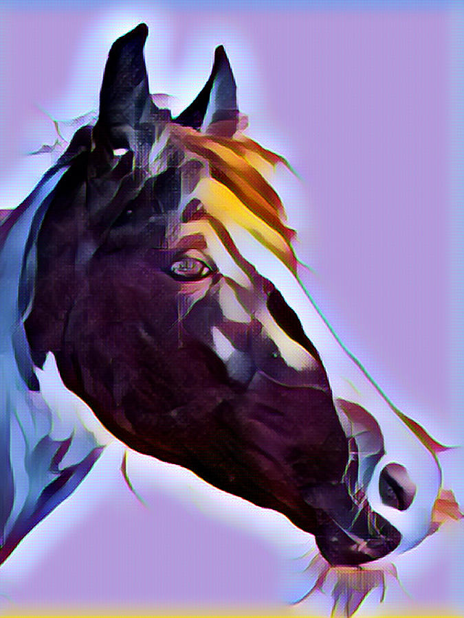 Painted Horse On Lavender Digital Art By Teresa Taylor - Fine Art America