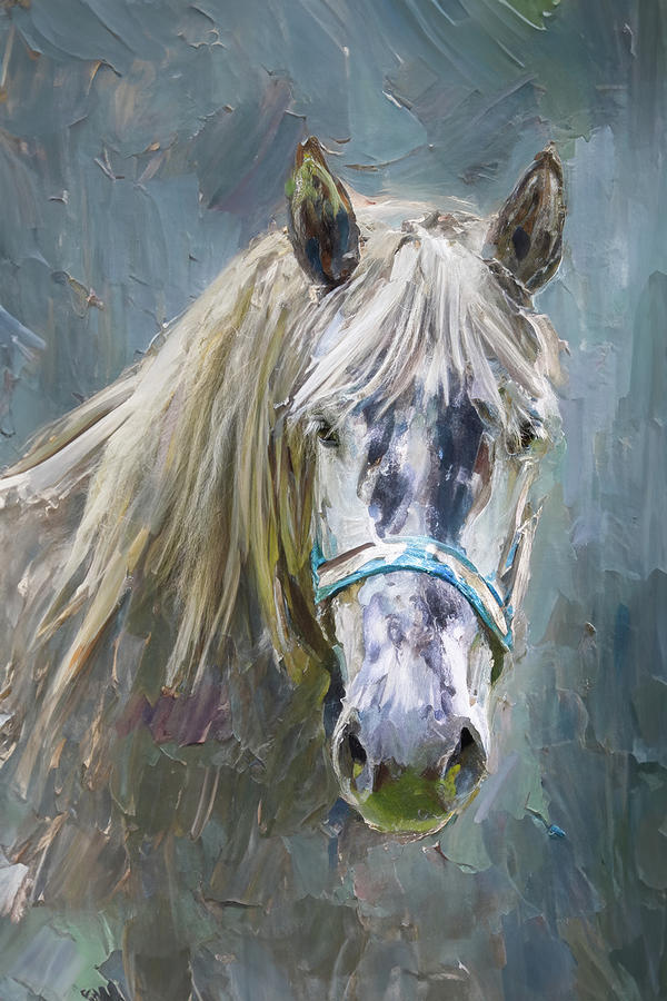 Painted Horse Photograph by Tom Mc Nemar
