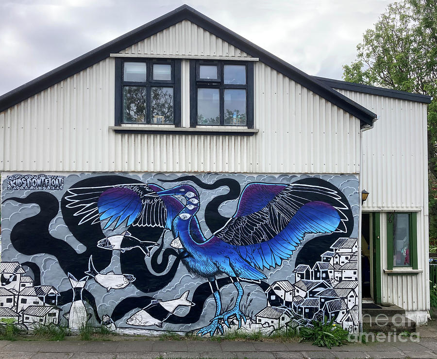 Painted house - Reykjavik - Iceland  Photograph by Phil Banks