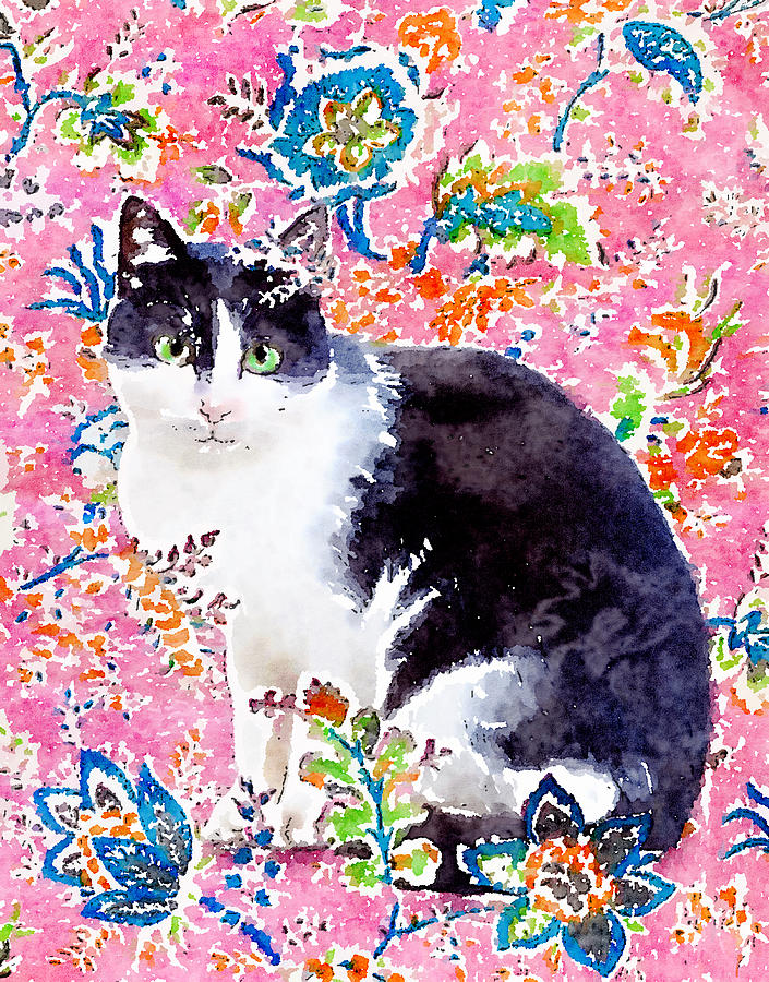 Black and White Cat in Pink Digital Art by Zelda Tessadori