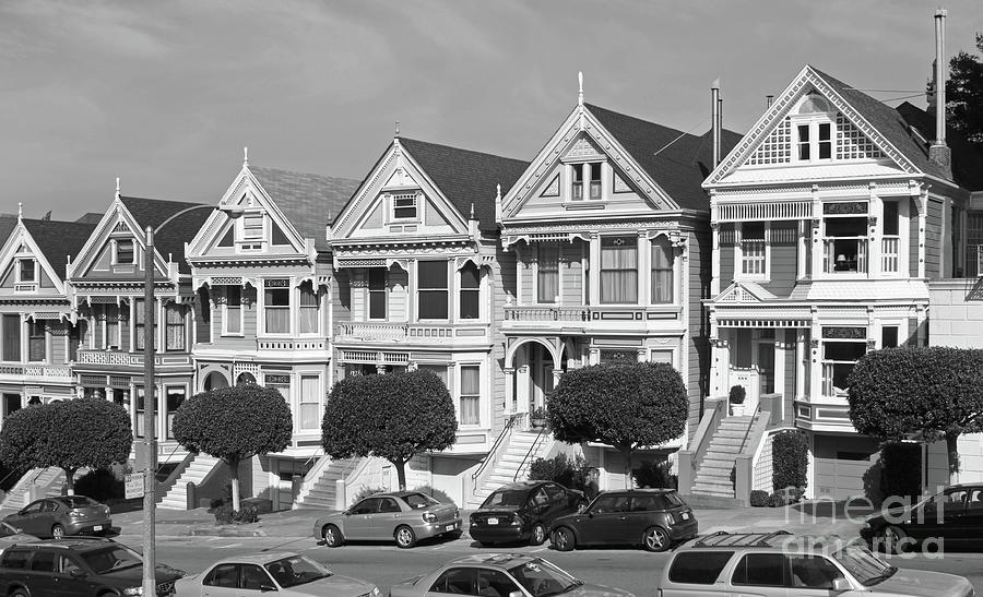 Painted Ladies 7031bw Photograph by Jack Schultz - Fine Art America