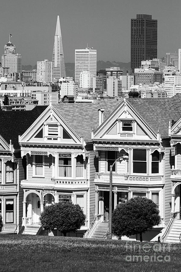 Painted Ladies and San Francisco skyline from Alamo Square Photograph by Henk Meijer Photography