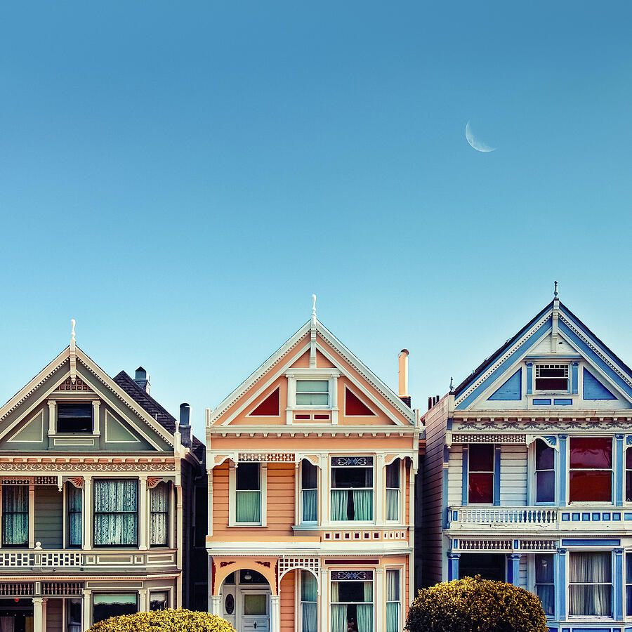 San Francisco Photograph - Painted Ladies by Dave Bowman