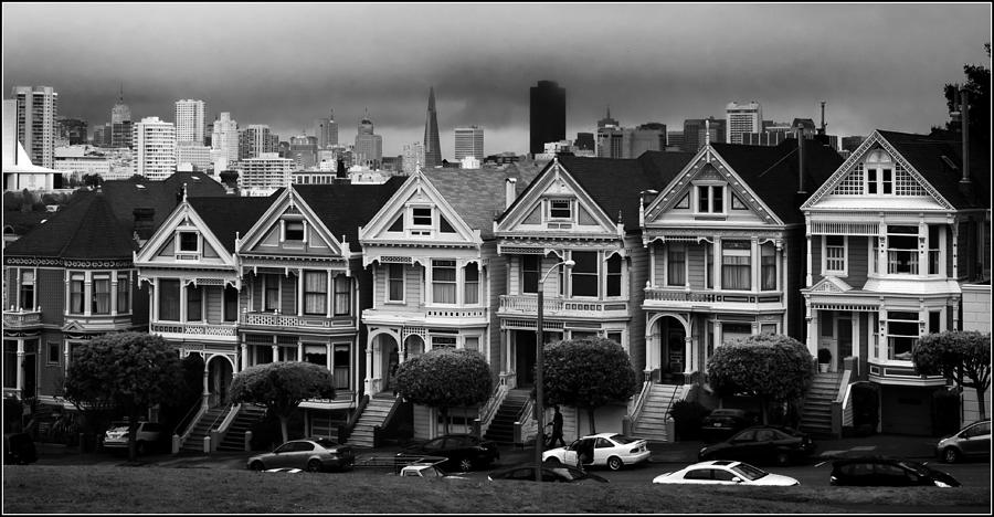 Painted Ladies Photograph by Frank Lee