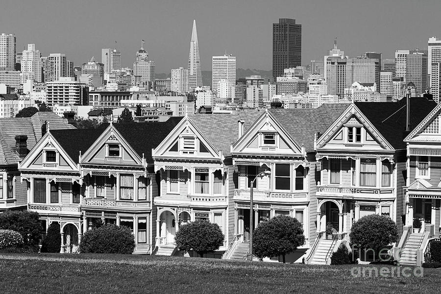 Painted Ladies in black and white Photograph by Henk Meijer Photography