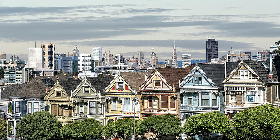 Painted Ladies Photograph by Rudy Wilms