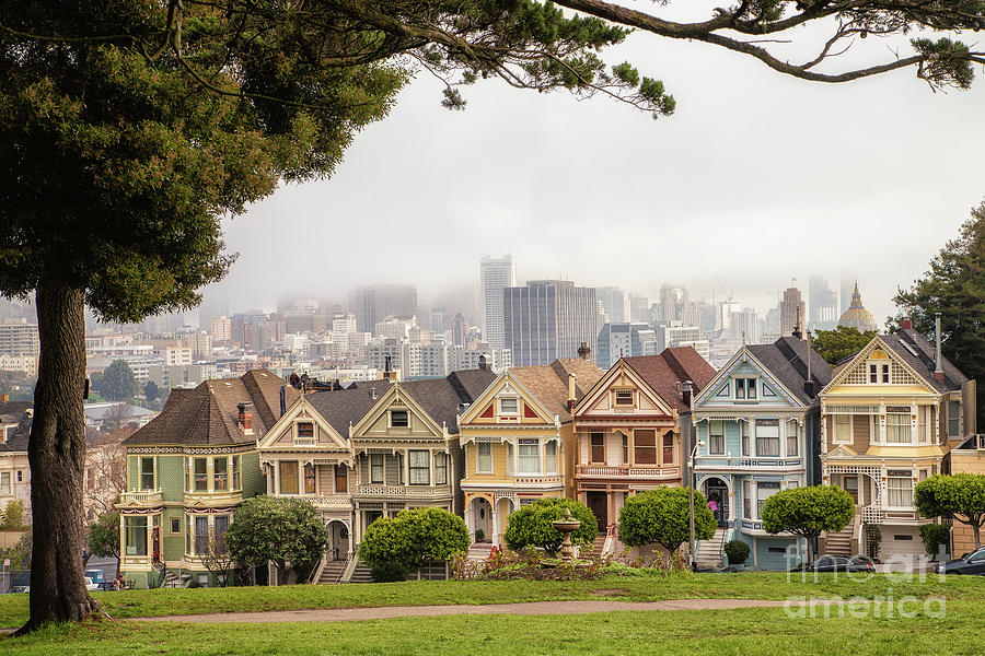 Painted Ladies San Francisco Photograph by Roxie Crouch