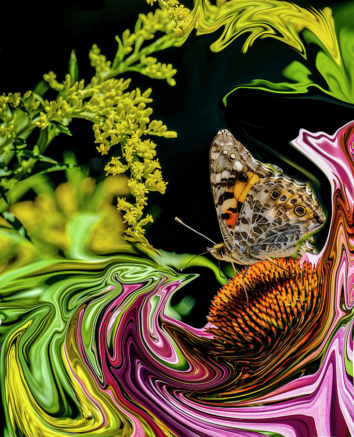 Painted Lady Amid Abstracted Flowers Photograph by Jim Wilce
