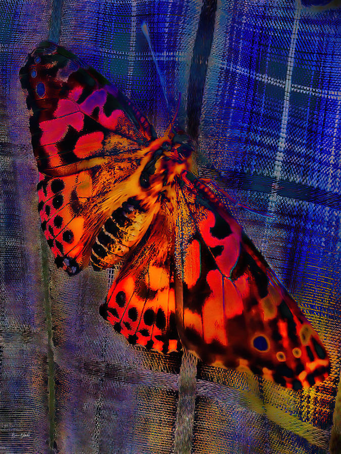 Painted lady butterfly Digital Art by Bruce Block
