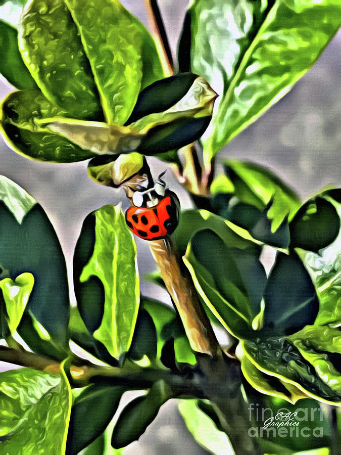 Painted Ladybug Painting by CAC Graphics