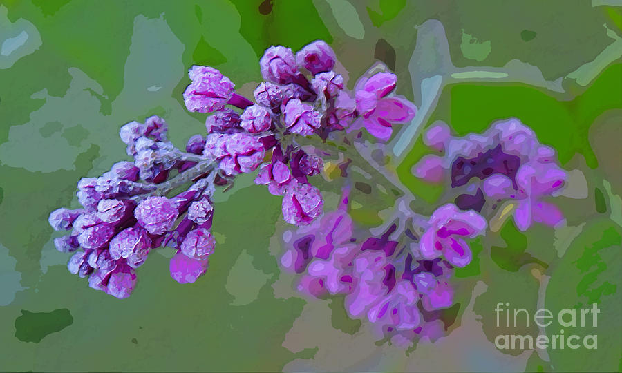 Flower Photograph - Painted Lilac by James Lloyd