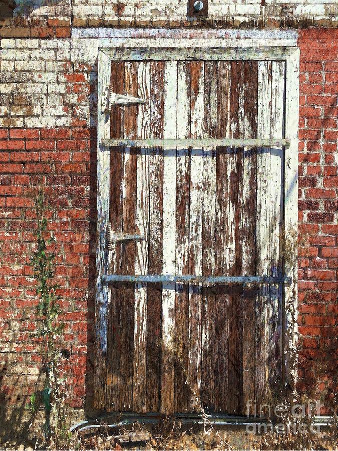 Painted Old Door Photograph by Katherine Erickson