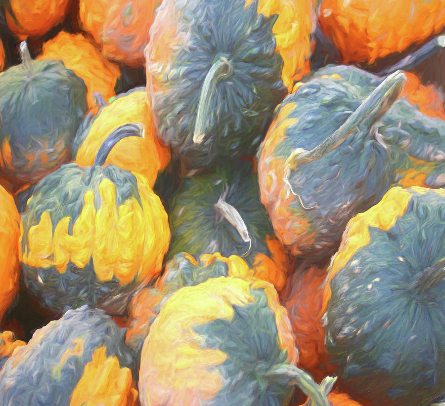 Painted orange gourds 1 Digital Art by Cathy Anderson