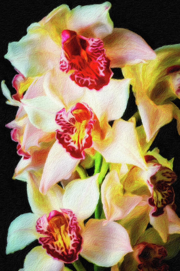 Painted Orchid Photograph by Garry Gay