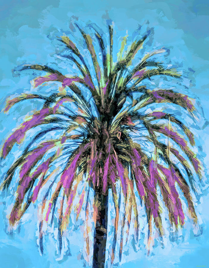 Painted Palm Tree Photograph by Roberta Byram