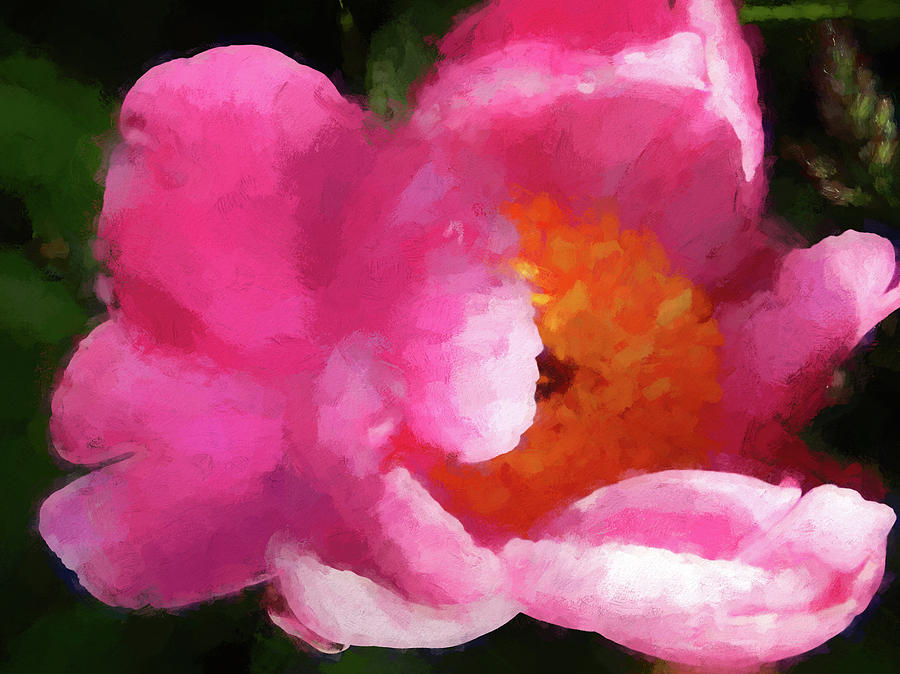 Painted Peony 10  Digital Art by Cathy Anderson