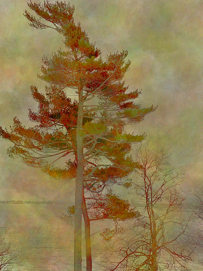 Painted Pine 1 Digital Art by JP McKIm