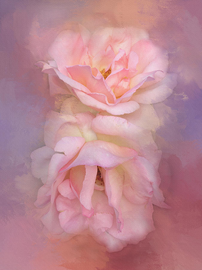 Painted Pink Rose Dream Photograph by Theresa Tahara