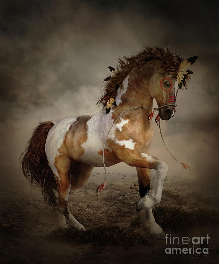 Painted Pony Tiva Digital Art by Shanina Conway