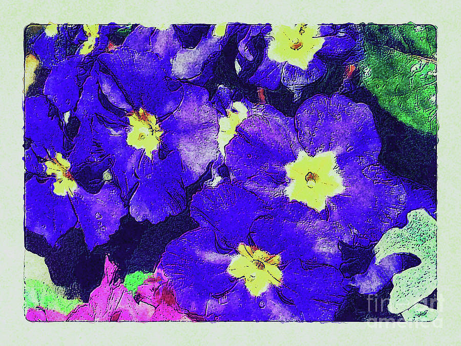 Painted Primroses Photograph by Sea Change Vibes