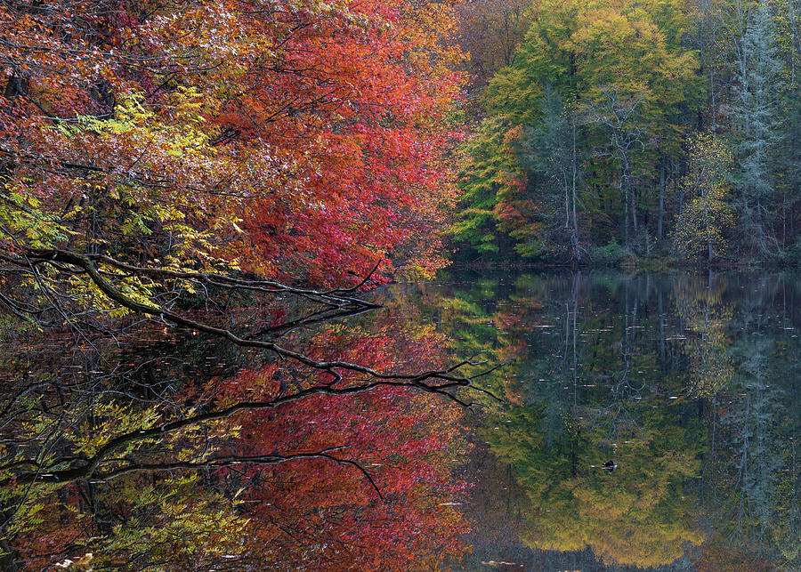 Painted Reflection  Photograph by Donnie Whitaker